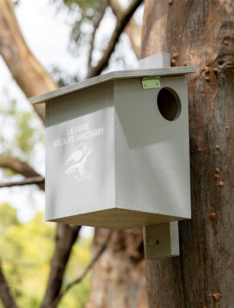 metal parrot nest boxes for sale|possum nesting box bunnings.